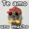 🐹 hamster triste🐹😟 25