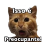 Michis memes 😹😼 12