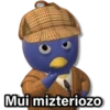 Mui mizteriozo