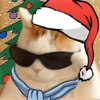 Animalitos en Navidad 15