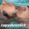 Capibara Moods 11