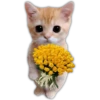🌻💐 Flores amarillas 3 💐🌻  21