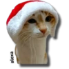Michi 🎁🎄 Navidad 26