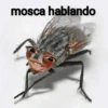 mosca hablando
