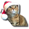Michi 🎁🎄 Navidad 27