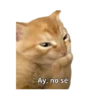 Michis memes 😹😼 13