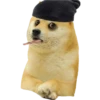 Doge / 23