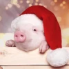 Animalitos en Navidad 16