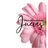 Martes a Viernes 🗓️2 18