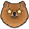 Mikka 14