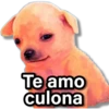 Te amo culona JesuA