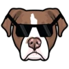 Goose 10