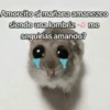🐹 hamster triste🐹😟 27