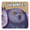 Febrero 2023 11