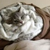 ~cute cats~ 26