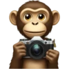 Jurer Emojis (3) 17