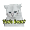 Michis memes 😹😼 14