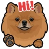 Mikka 15