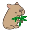 Capibara 13