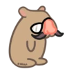 Capibara 14