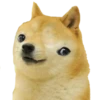 Doge / 27