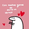 Notitas Flork 30