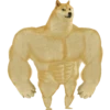 Doge / 28