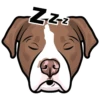 Goose 12