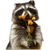 🌻💐 Flores amarillas 3 💐🌻  23