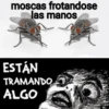 moscas frotandose las manos ESTÁN TRAMANDO ALGO