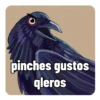 Febrero 2023 13