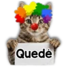 Michi mensajes gatito 🐱📩 17