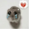 🐹 hamster triste🐹😟 29