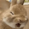 🤪 Reactions 15 😲 14