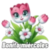 Martes a Viernes 🗓️2 24