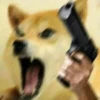 Doge / 30