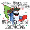 Amor en México 🇲🇽 🦈 😁😍 15