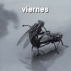 viernes