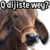☀️Animalitos con Frases 2🌼 15