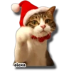 Michi 🎁🎄 Navidad 30