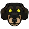 Bimba 5