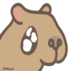 Capibara 15