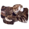 Sexy Animals 29