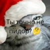 Trollge Multiverse от баобаб 5