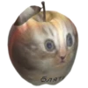 WAFFLEHIVE 9