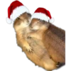 Memes de Natal 5 6