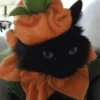 Halloween Animal🎃🔮 5