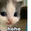 Hehe 7