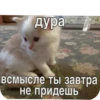 AaYEbbj_by_achestickbot 6