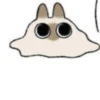 Shiro_Cat_@zigou23 6